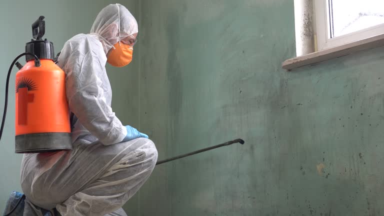 Why You Should Choose Our Mold Remediation Services in Niagara, WI